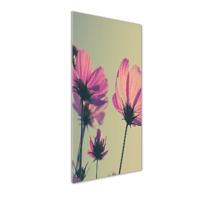 Print on acrylic glass Pink flowers