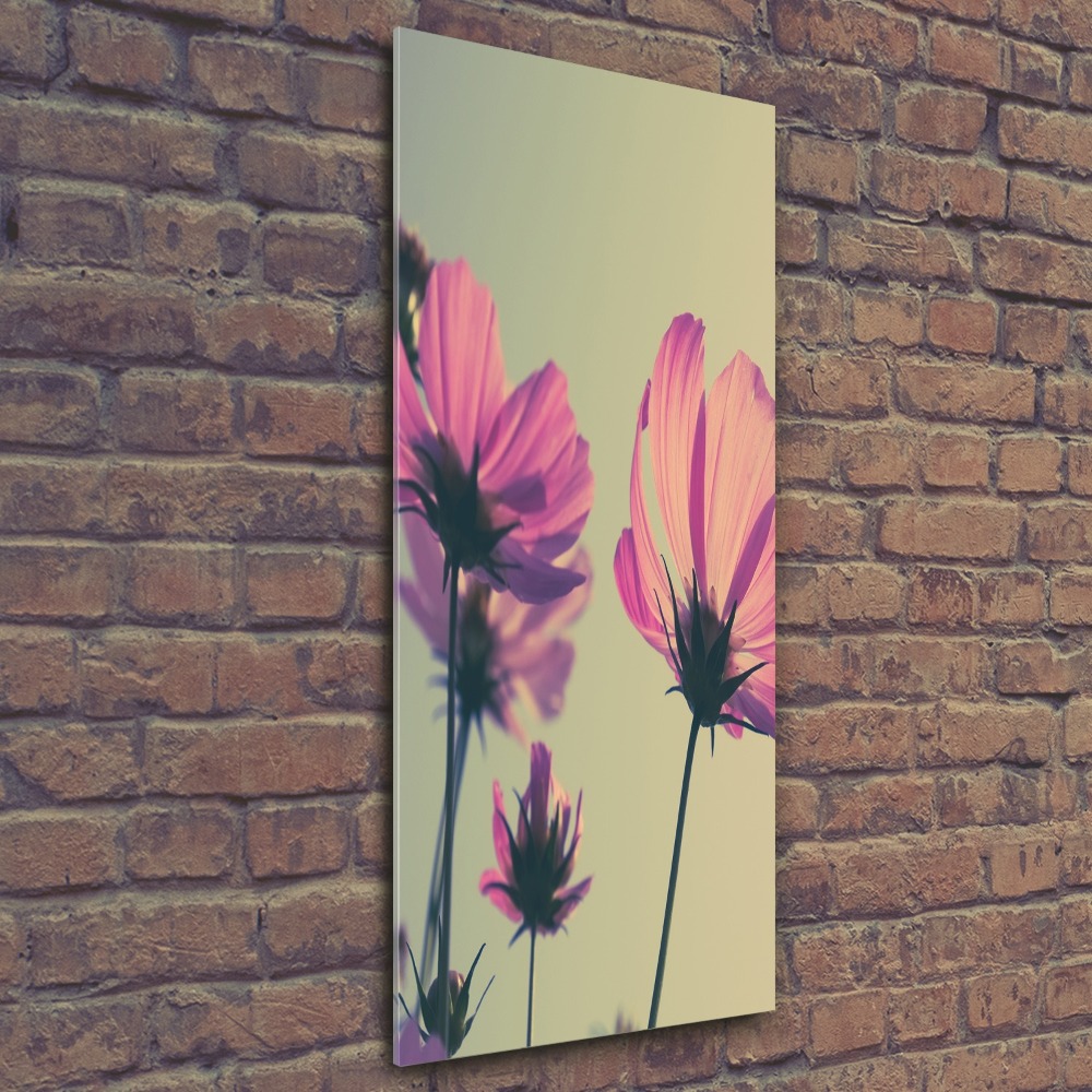 Print on acrylic glass Pink flowers