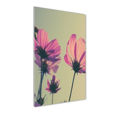 Print on acrylic glass Pink flowers