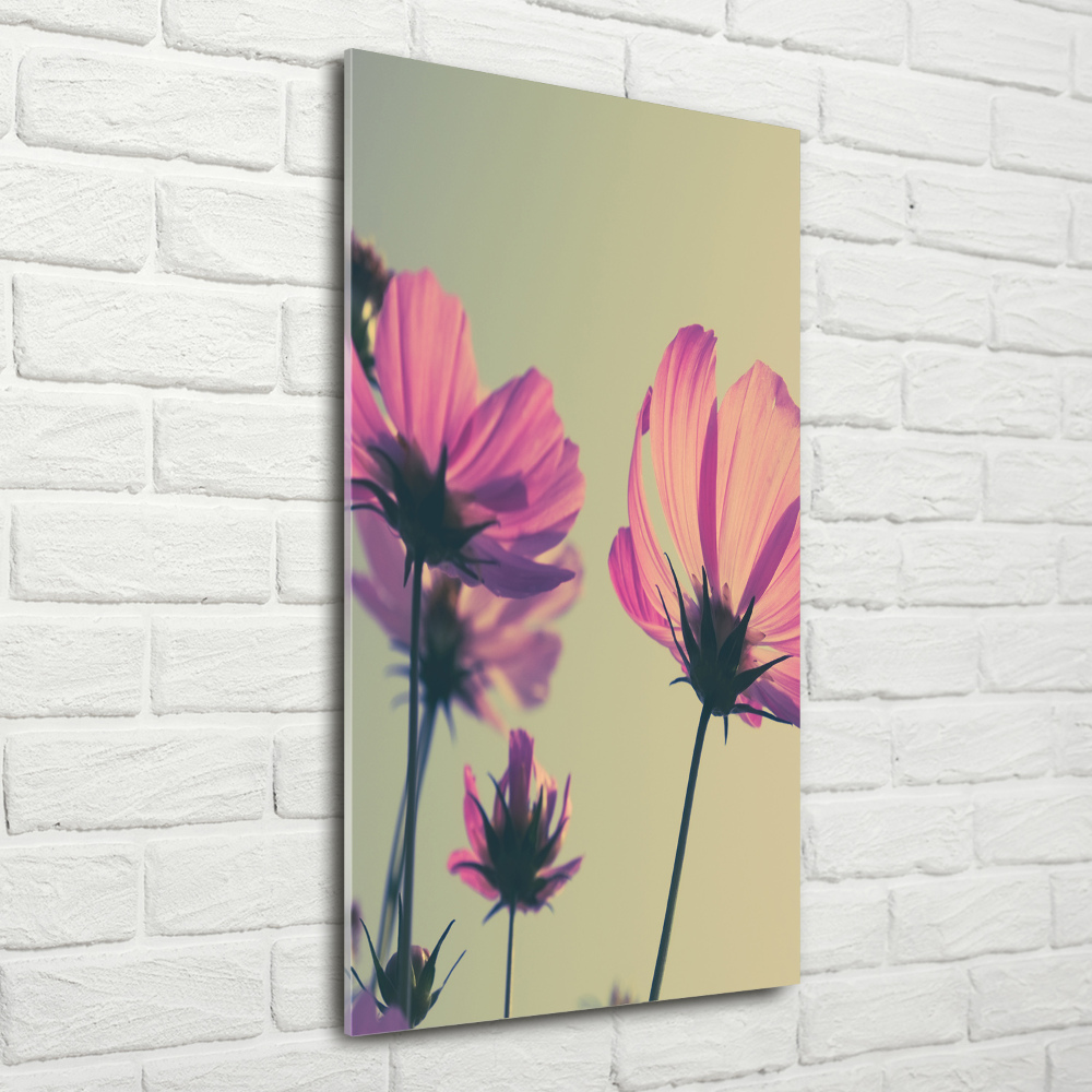 Print on acrylic glass Pink flowers