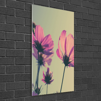 Print on acrylic glass Pink flowers