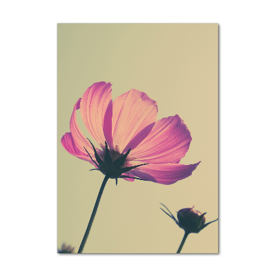 Print on acrylic glass Pink flowers