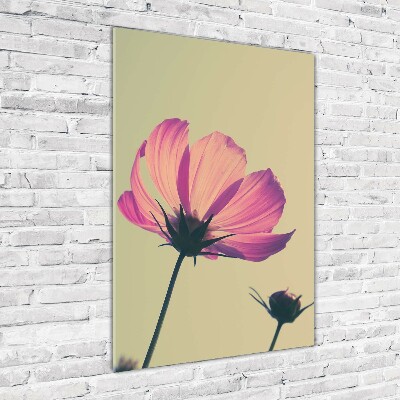 Print on acrylic glass Pink flowers