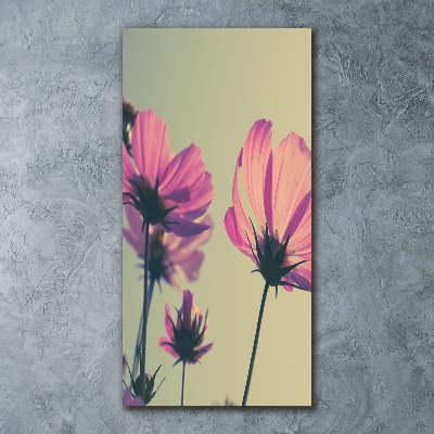 Print on acrylic glass Pink flowers