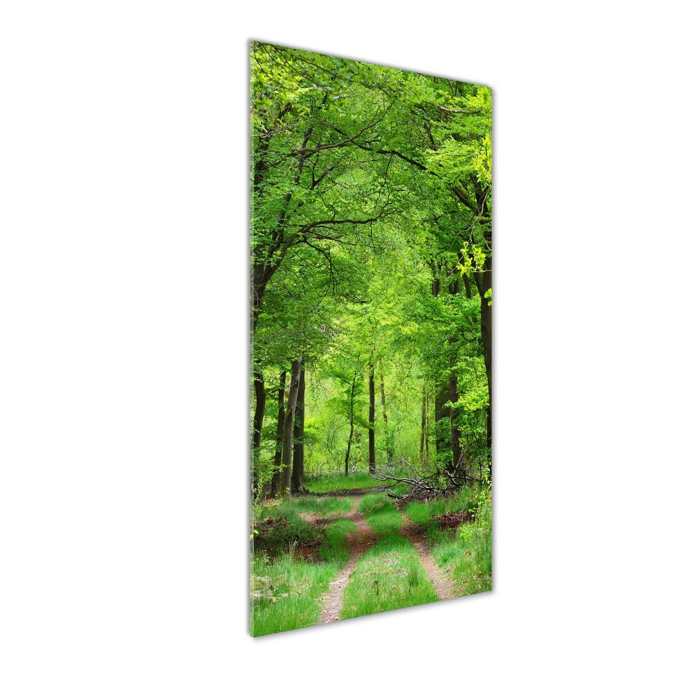 Print on acrylic Green Forest