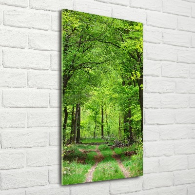 Print on acrylic Green Forest