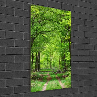 Print on acrylic Green Forest