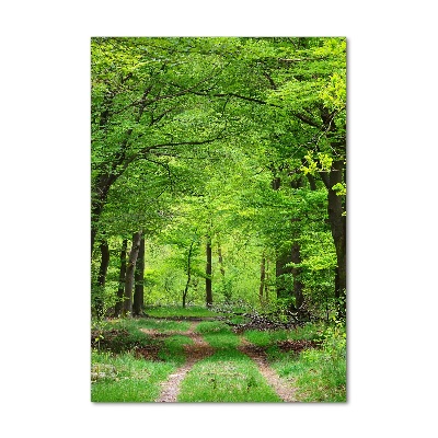 Print on acrylic Green Forest