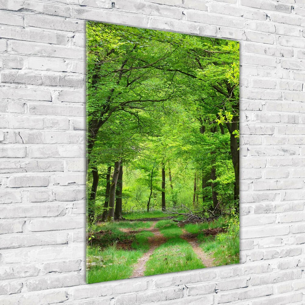 Print on acrylic Green Forest