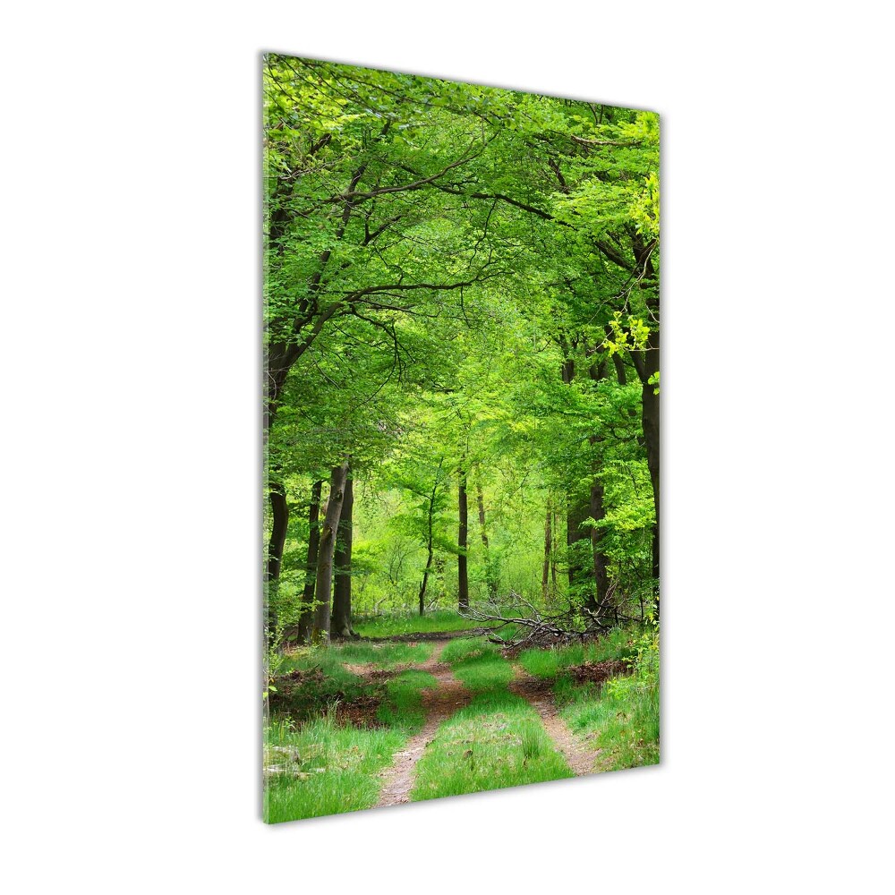 Print on acrylic Green Forest