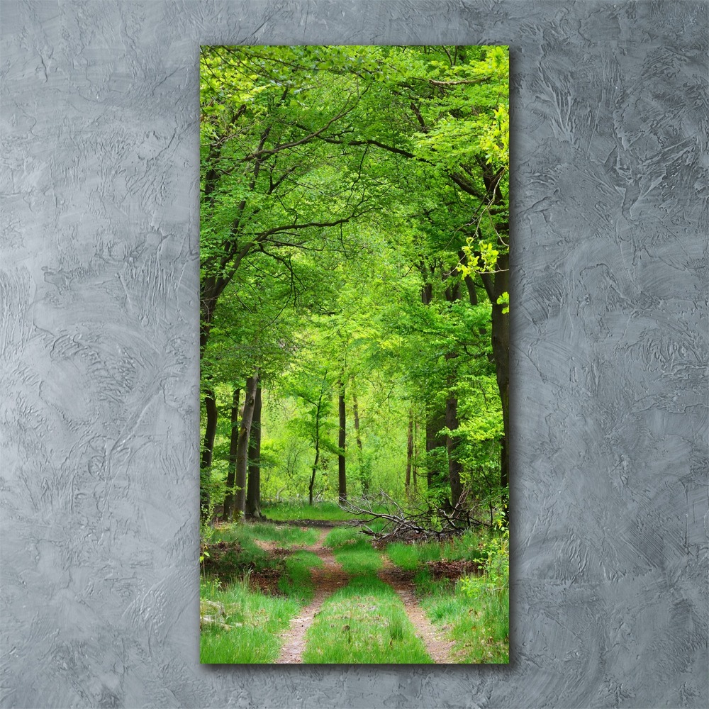 Print on acrylic Green Forest