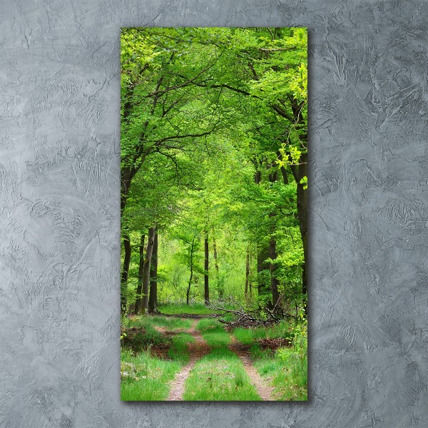 Print on acrylic Green Forest