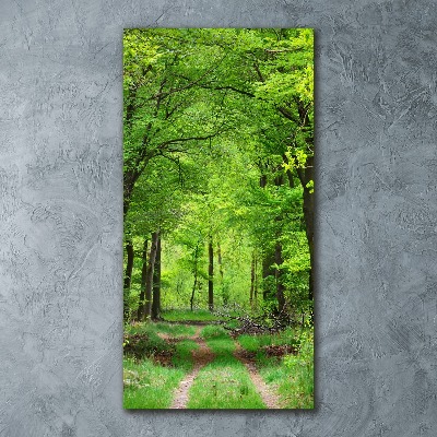 Print on acrylic Green Forest