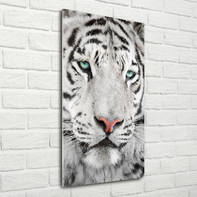 Acrylic wall art White Tiger