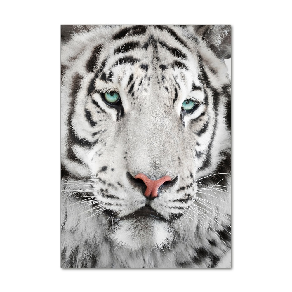 Acrylic wall art White Tiger