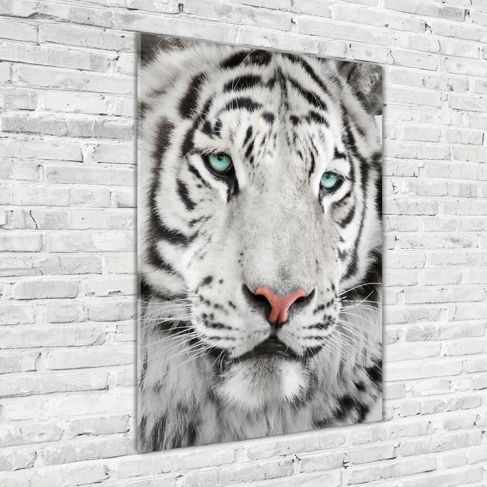 Acrylic wall art White Tiger