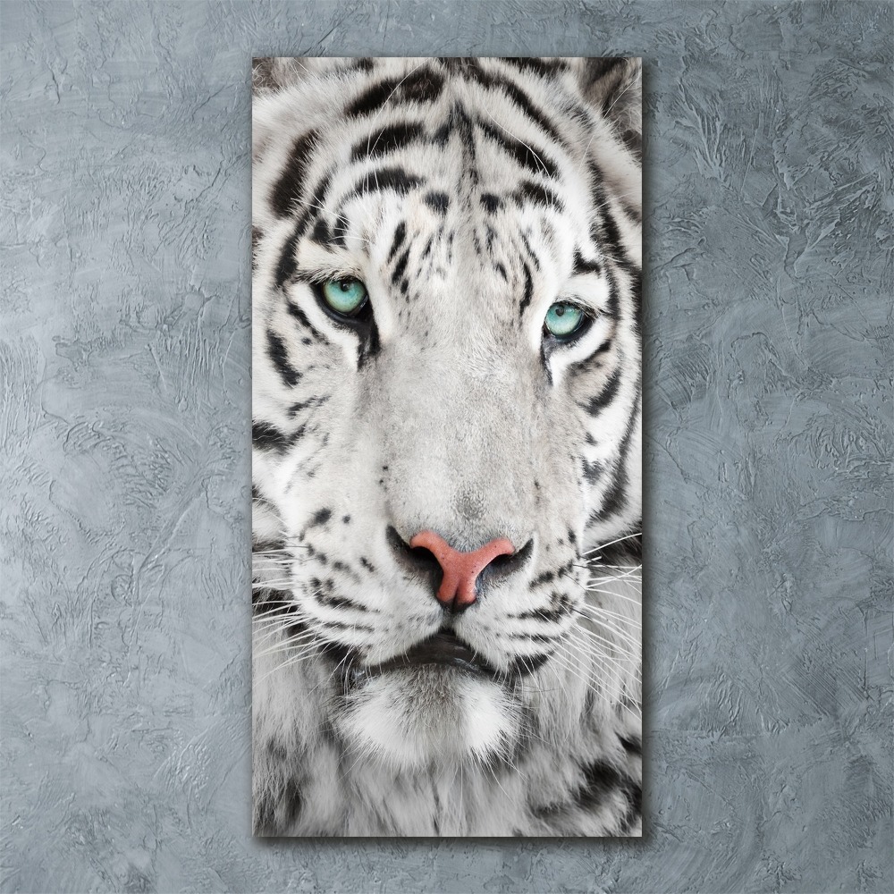 Acrylic wall art White Tiger