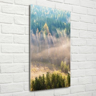 Print on acrylic Fog over the forest