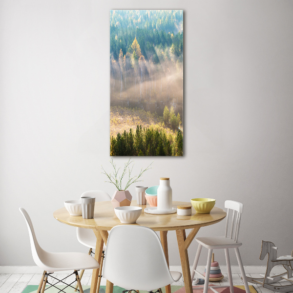 Print on acrylic Fog over the forest