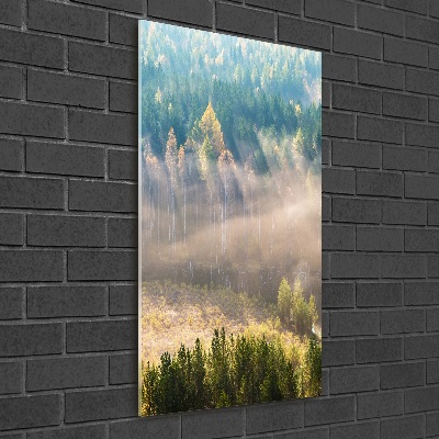 Print on acrylic Fog over the forest