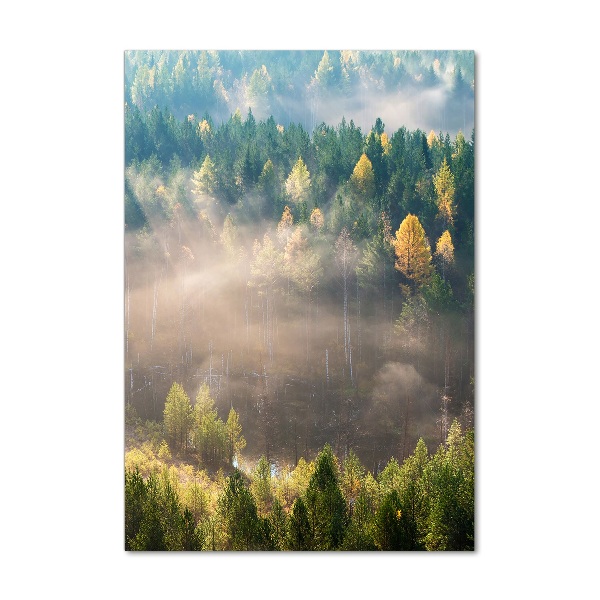 Print on acrylic Fog over the forest