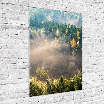 Print on acrylic Fog over the forest