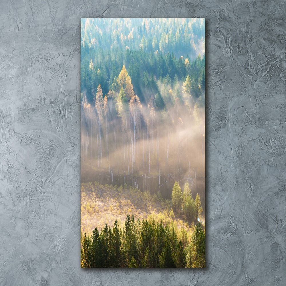 Print on acrylic Fog over the forest