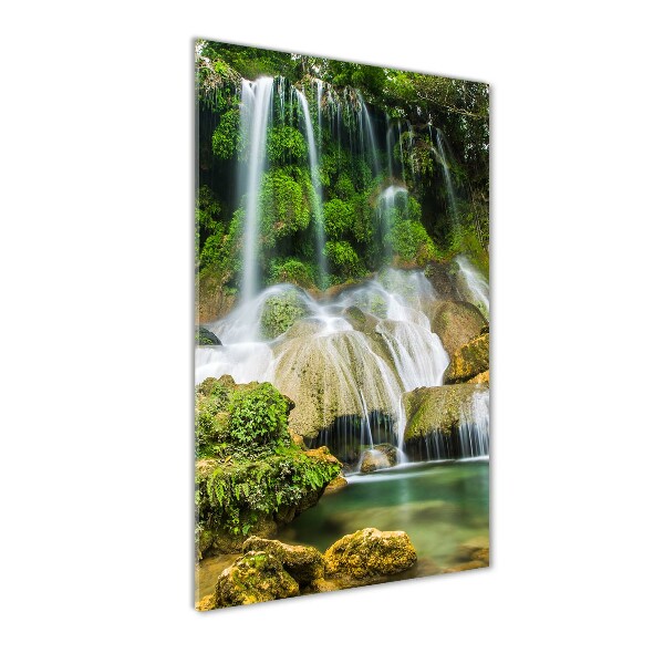 Print on acrylic Waterfall in the jungle