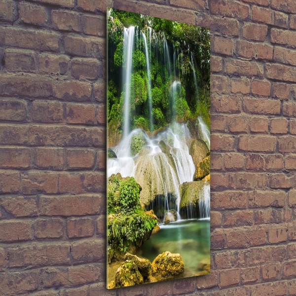 Print on acrylic Waterfall in the jungle