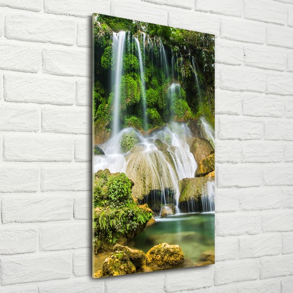 Print on acrylic Waterfall in the jungle