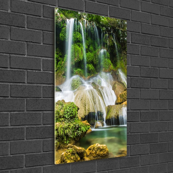 Print on acrylic Waterfall in the jungle