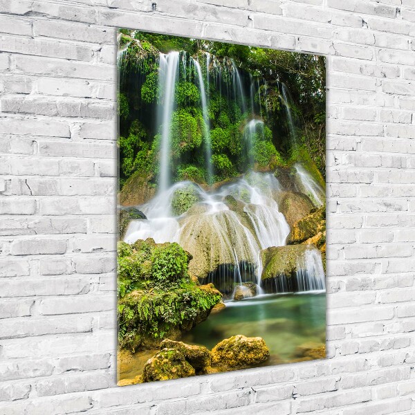 Print on acrylic Waterfall in the jungle