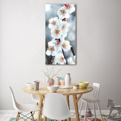 Acrylic print Cherry blossoms