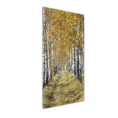 Acrylic wall art Birch forest