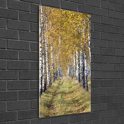 Acrylic wall art Birch forest