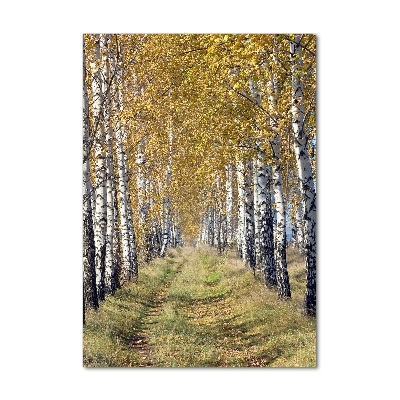 Acrylic wall art Birch forest