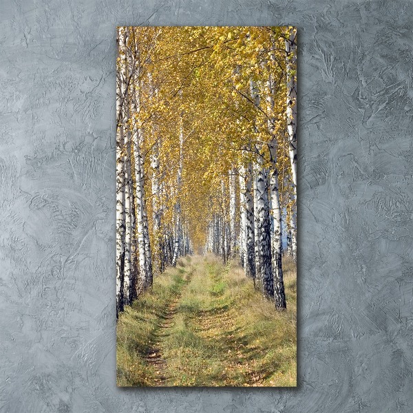 Acrylic wall art Birch forest