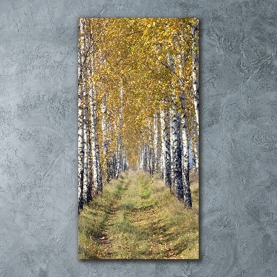 Acrylic wall art Birch forest