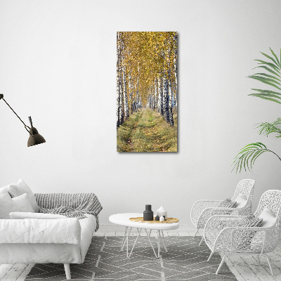 Acrylic wall art Birch forest