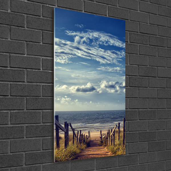 Acrylic wall art Path to the beach