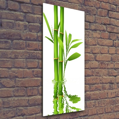 Print on acrylic glass Bamboo