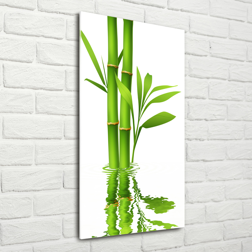 Print on acrylic glass Bamboo