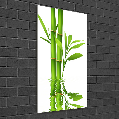 Print on acrylic glass Bamboo