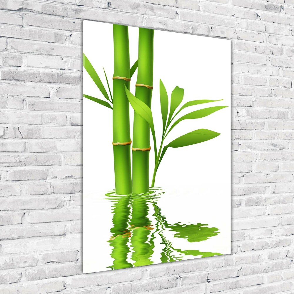 Print on acrylic glass Bamboo