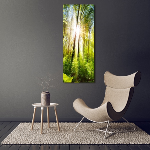 Acrylic print The sun in the forest