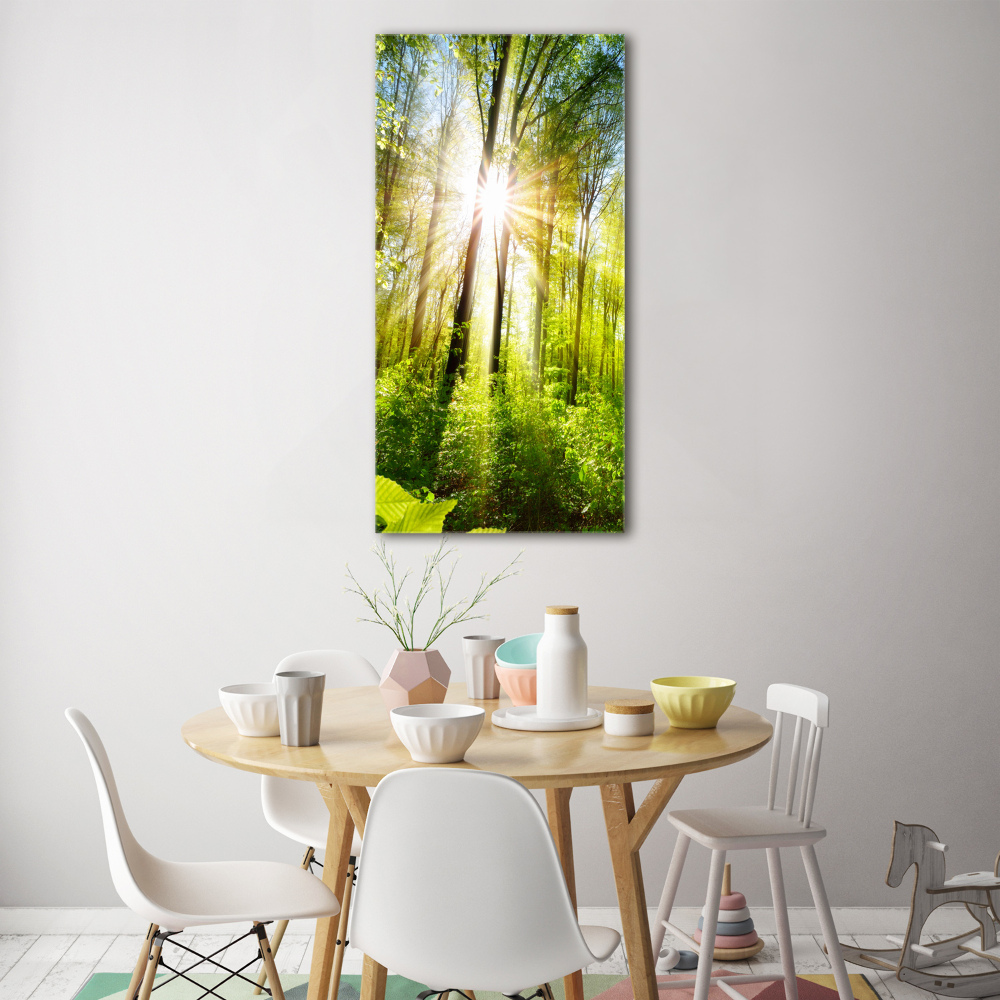 Acrylic print The sun in the forest