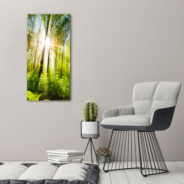 Acrylic print The sun in the forest