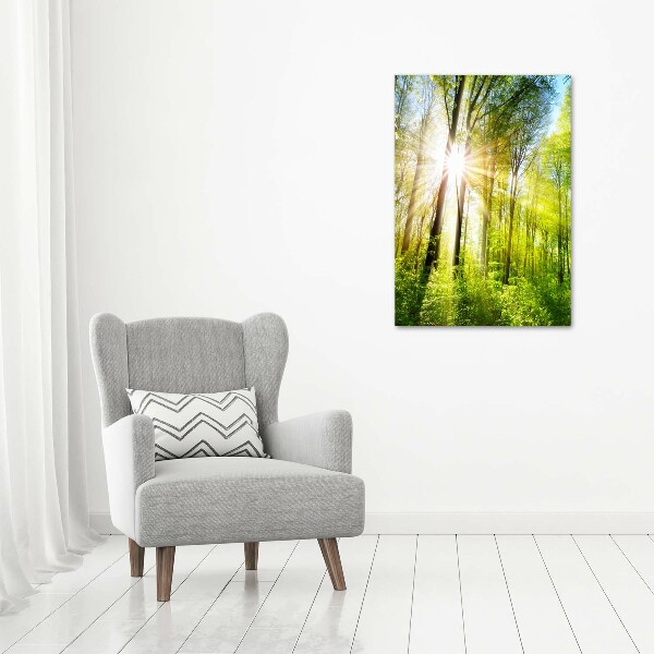 Acrylic print The sun in the forest