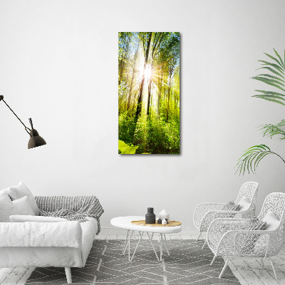 Acrylic print The sun in the forest