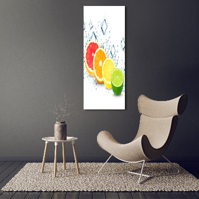 Acrylic wall art Citruses